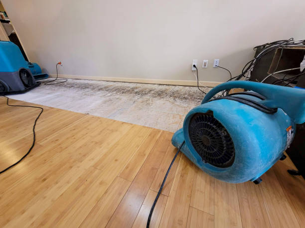 Professional Structural Drying technician working in Spring Branch, TX